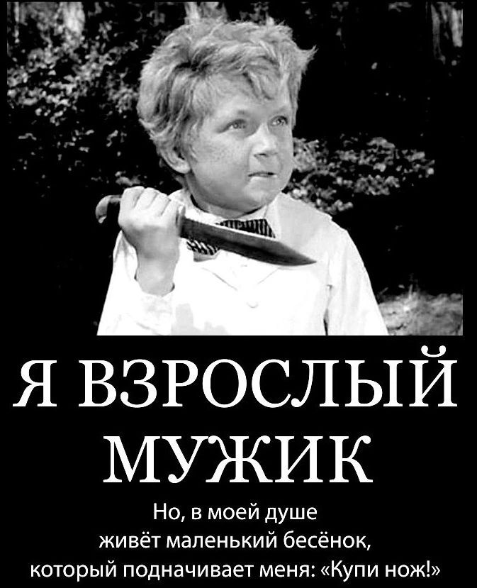 Я ВЗРОСЛЫЙ МУЖИК Но в моей душе живёт маленький бесёнок который подначивает меня Купи нож