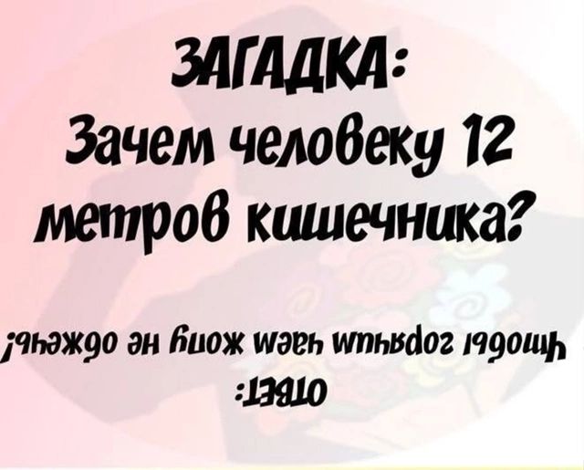 ЗАГАДКА Зачем человеку 12 метров кишечника учь2ждо эн Биож ииэеь итьвао2 1990щЬ 12910