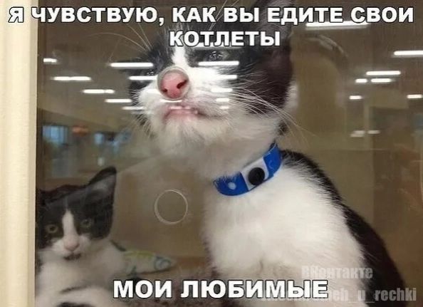 УВСТВУЮ КАК ВЫ ЕДИТЕСВОИ ХЛЕТЫ