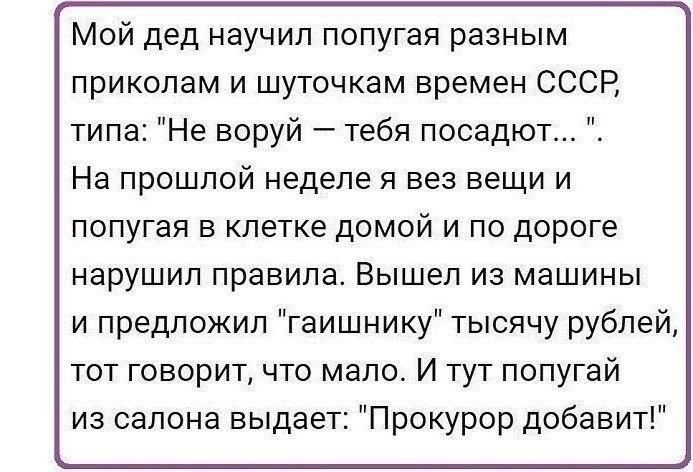 Мой дед научил попугая разным приколам и шуточкам времен СССР типа Не воруй тебя посадют На прошлой неделе я вез вещи и попугая в клетке домой и по дороге нарушил правила Вышел из машины и предложил гаишнику тысячу рублей тот говорит что мало И тут попугай из салона выдает Прокурор добавит