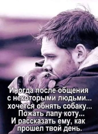 ехобщения с норыми людЬми хочется_ обнять собаку Пожать лапукоту Ирас_сказать ему как прошел твои день