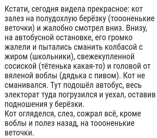 Кстати сегодня видела прекрасное кот залез на полудохлую берёзку тоооненькие веточки и жалобно смотрел вниз Внизу на автобусной остановке его громко жалели и пытались сманить колбасой с жиром школьники свежекупленной сосиской тётенька какая то и головой от вяленой воблы дядька с пивом Кот не сманивался Тут подошёл автобус весь электорат туда погруз