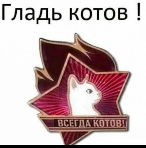 Гладь котов ы ВСЕГДА КОТОВ