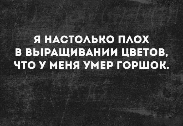 Я НАСТОЛЬКО ПЛОХ В ВЫРАЩИВАНИИ ЦВЕТОВ ЧТО У МЕНЯ УМЕР ГОРШОК