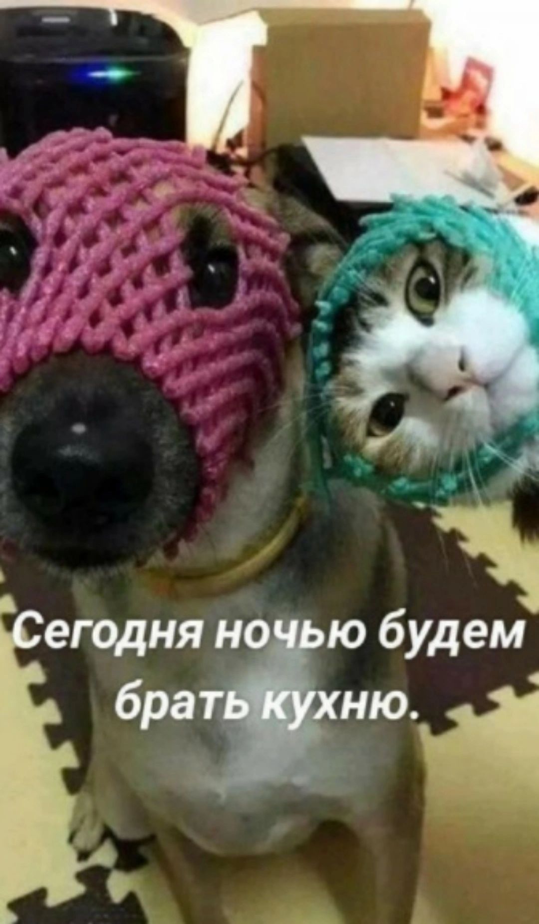 д д ГОдНЯ но ю будем