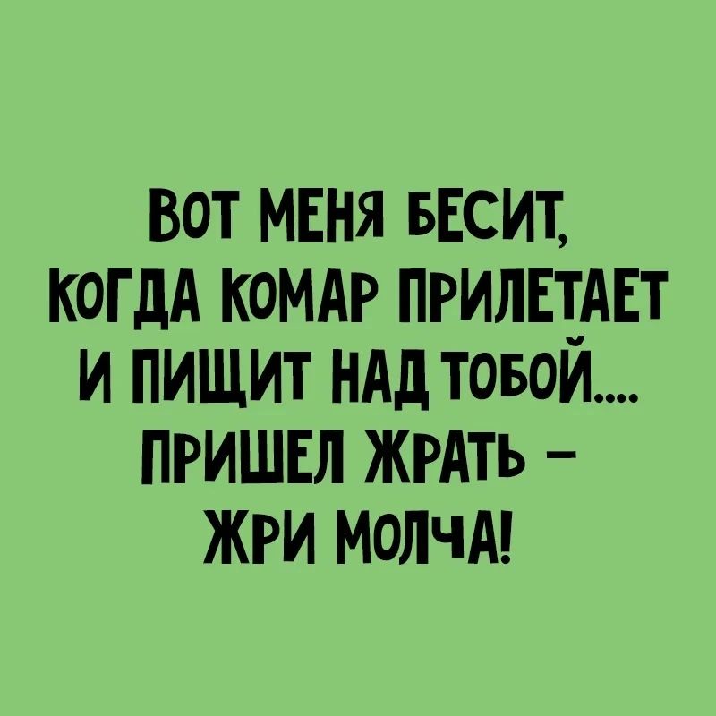 ВОТ МЕНЯ БЕСИТ КОГДА КОМАР ПРИЛЕТАЕТ И ПИЩИТ НАД ТОБой ПРИШЕЛ ЖРАТЬ ЖРИ МОЛЧА