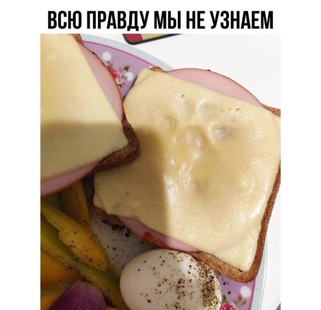 ВСЮ ПРАВДУ МЫ НЕ УЗНАЕМ