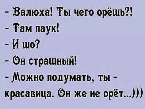 Валюха Ты чего орёщь Там паук Й шо н страшный Можно подумать ты красавица н же не орёт