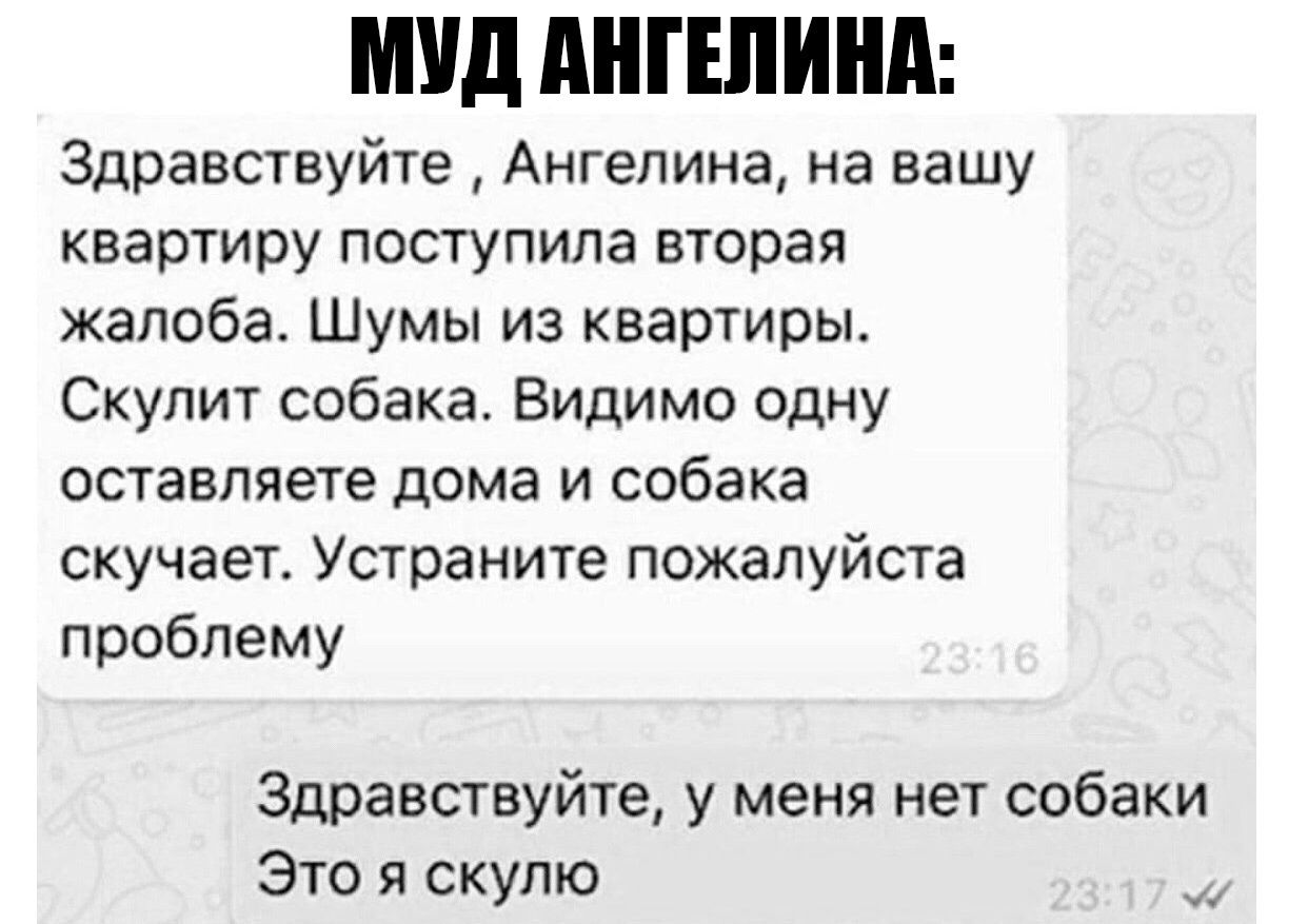 МУД АНГЕЛИНА Здравствуйте Ангелина на вашу квартиру поступила вторая жалоба Шумы из квартиры Скулит собака Видимо одну оставляете дома и собака скучает Устраните пожалуйста проблему Здравствуйте у меня нет собаки Это я скулю