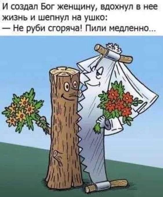 И создал Бог женщину вдохнул в нее жизнь и шепнул на ушко Не руби сгоряча Пили медленно