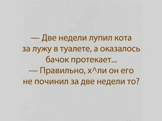 Две недели лупил кота за лужу в туалете а оказалось бачок протекает Правильно хли он его не починил за две недели то