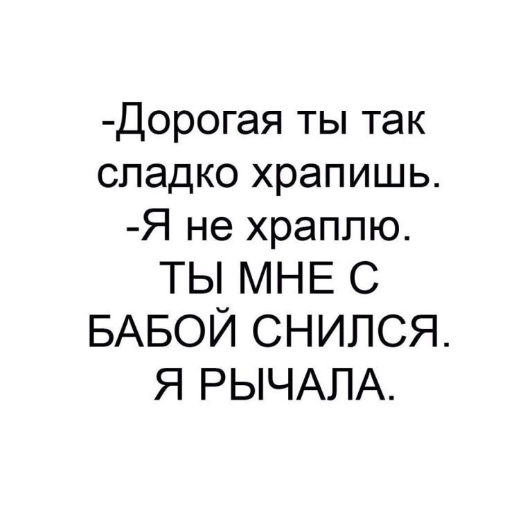 Дорогая ты так сладко храпишь Я не храплю ТЫ МНЕ С БАБОЙ СНИЛСЯ Я РЫЧАЛА