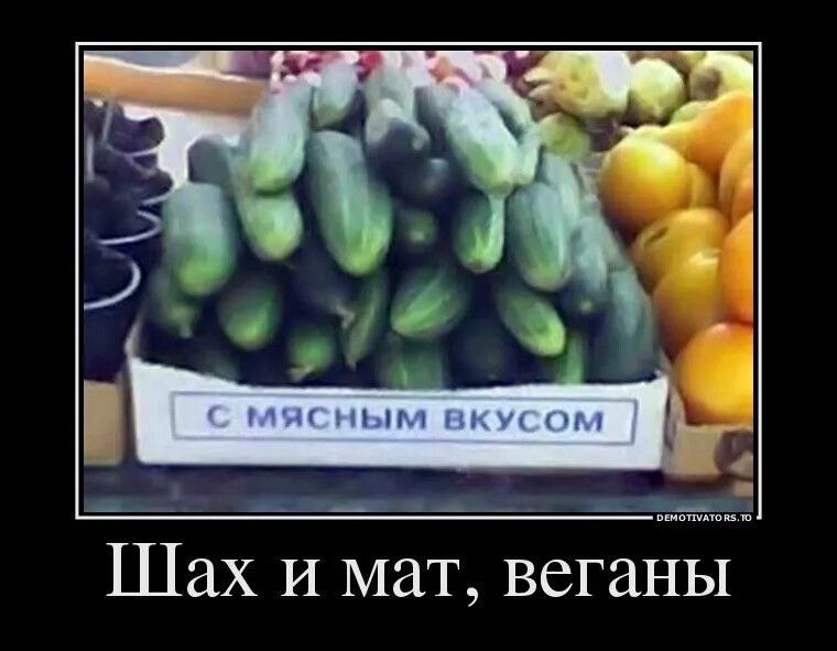 Шах и мат веган