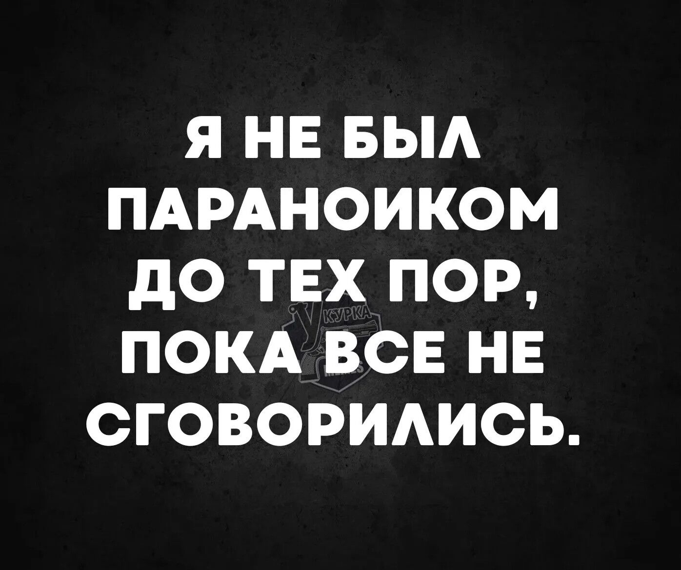 Я НЕ БЫЛ ПАРАНОИКОМ ДО ТЕХ ПОР ПОКА ВСЕ НЕ СГОВОРИЛИСЬ