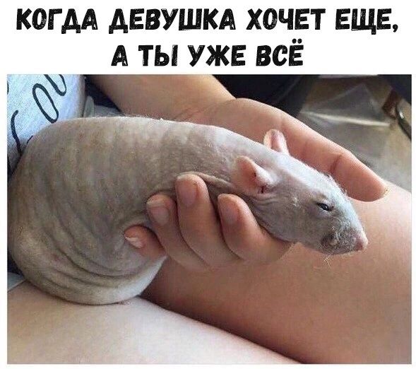 КОГДА ДЕВУШКА ХОЧЕТ ЕЩЕ А ТЫ УЖЕ ВСЁ