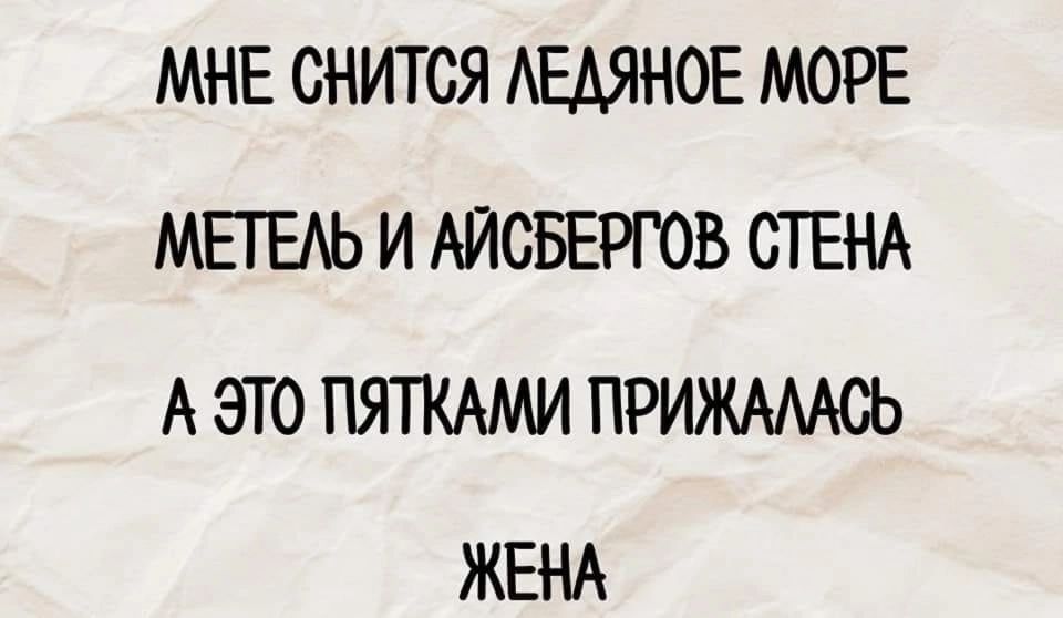 МНЕ СНИТСЯ ЛЕДЯНОЕ МОРЕ МЕТЕЛЬ И АЙСБЕРГОВ СТЕНА А ЭТО ПЯТКАМИ ПРИЖАЛАСЬ ЖЕНА