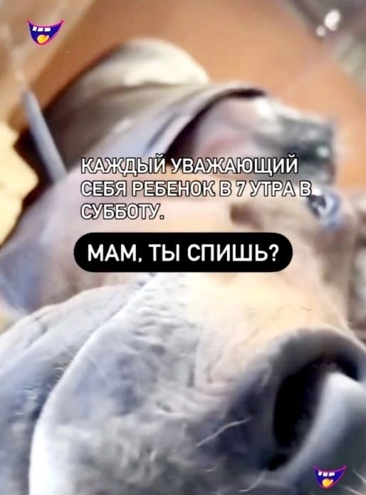 п7 Т УББ МАМ ТЫ СПИШЬ