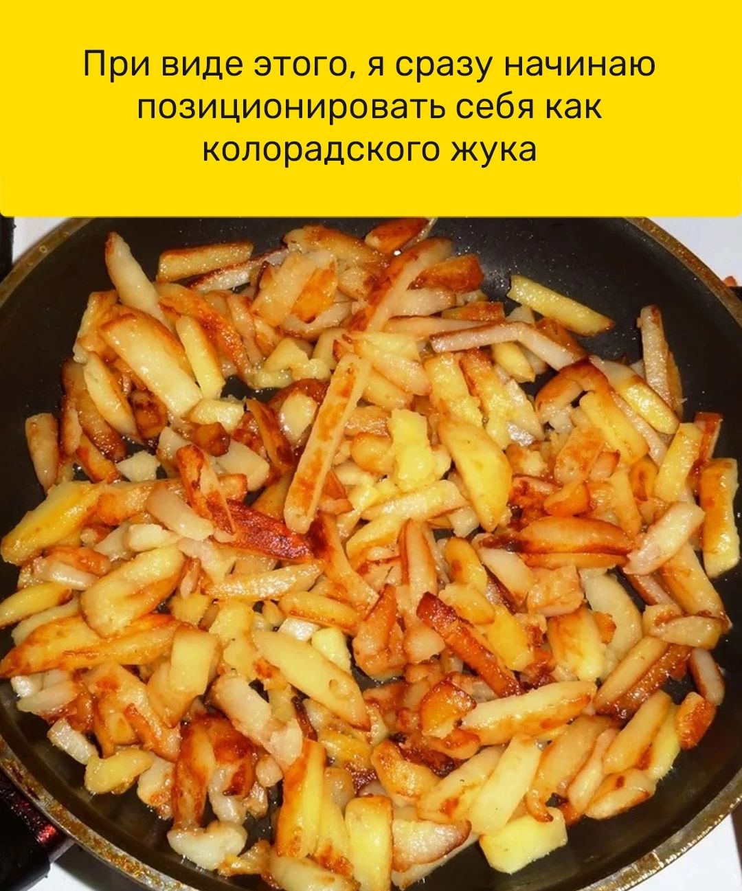 При виде этого я сразу начинаю позиционировать себя как колорадского жука