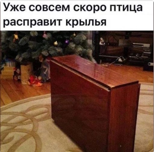Уже совсем скоро птица расправит крылья ё Г