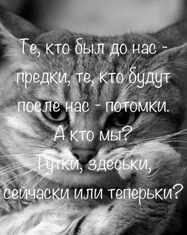кыл о нас и и ъ ер
