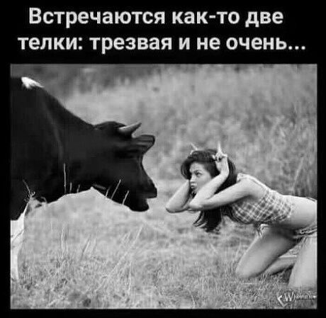 Встречаются как то две телки трезвая и не очень