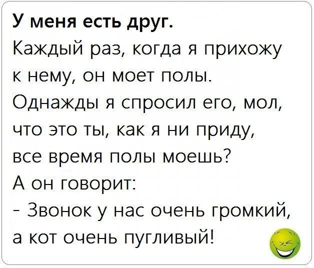 У меня есть друг Каждый раз когда я прихожу к нему он моет полы Однажды я спросил его мол что это ты как я ни приду все время полы моешь А он говорит Звонок у нас очень громкий а кот очень пугливый 9
