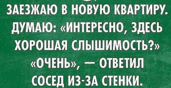 ЗАЕЗЖАЮ В НОВУЮ КВАРТИРУ ДУМАЮ ИНТЕРЕСНО ЗДЕСЬ ХОРОШАЯ СЛЫШИМОСТЬ ОЧЕНЬ ОТВЕТИЛ СОСЕД ИЗ ЗА СТЕНКИ