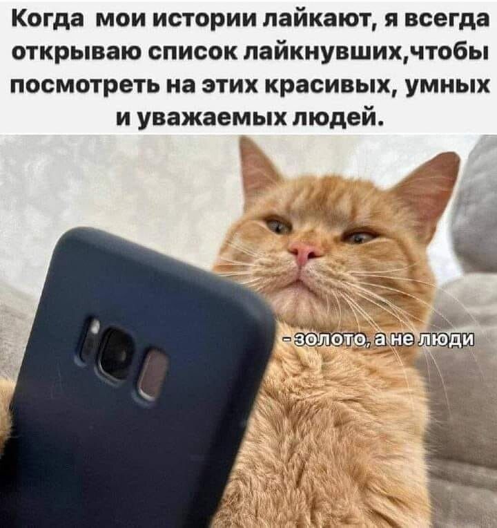 Когда мои истории лайкают я всегда открываю список лайкнувшихчтобы посмотреть на этих красивых умных и уважаемых людей 9