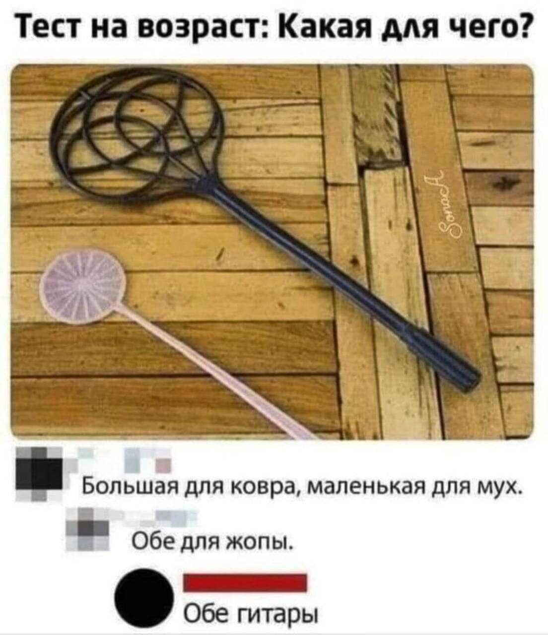 Тест на возраст Какая для чего Большая для ковра маленькая для мух Обе для жопы ЕНЕЕЕЕЕПЕННЫ Обе гитары