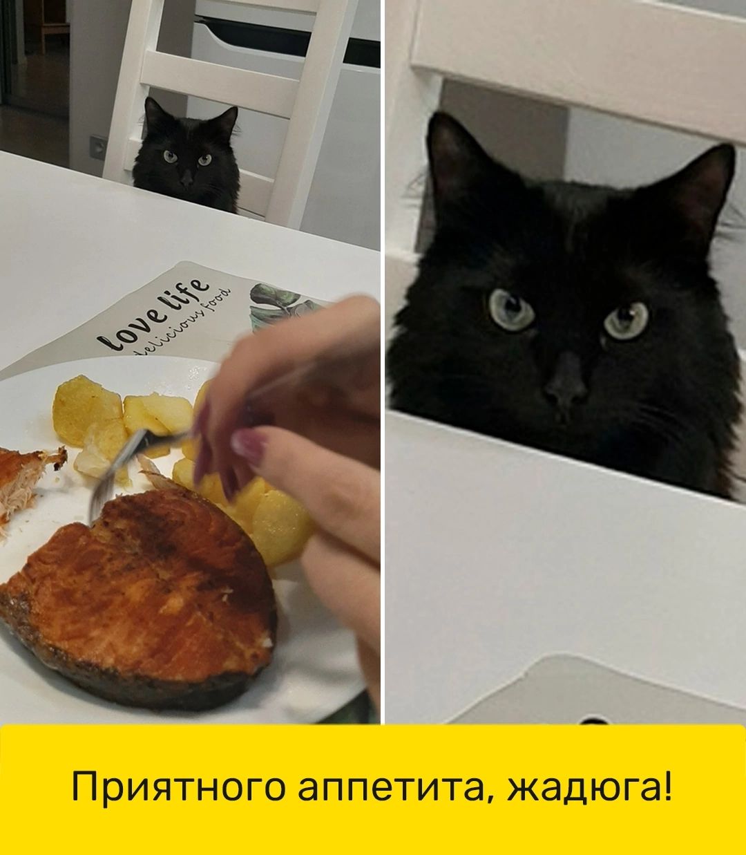 Приятного аппетита жадюга