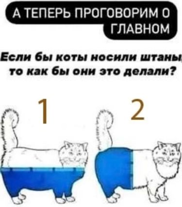 А ТЕПЕРЬ ПРОГОВОРИМ О ГЛАВНОМ Если бы коты носили штаны то как бы они это делали 1 о2 ъ ока 1В от г