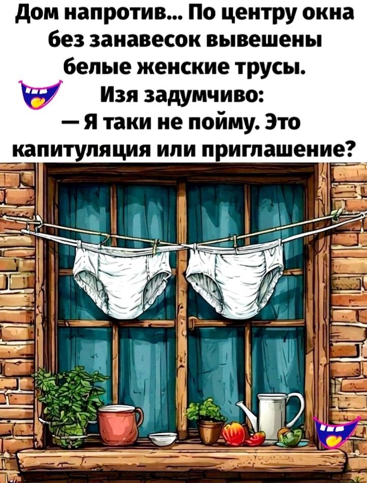 Дом напротив По центру окна без занавесок вывешены белые женские трусы 9 Изя задумчиво Я таки не пойму Это капитуляция или приглашение