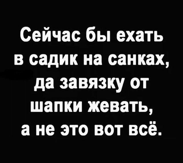 Сейчас бы ехать в садик на санках да завязку от шапки жевать а не это вот всё