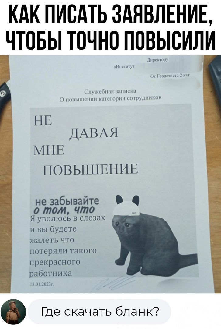 КАК ПИСАТЬ ЗАЯВЛЕНИЕ ЧТОБЫ ТОЧНО ПОВЫСИЛИ НЕ ДАВАЯ МНЕ ПОВЫШЕНИЕ не забывайте о том что 5 Я уволюсь в слезах и вы будете жалеть что потеряли такого прекрасного работника Где скачать бланк