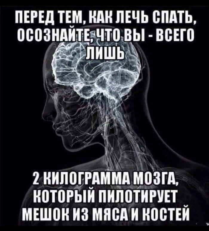 ПЕРЕД ТЕМ КАК ЛЕЧЬ СПАТЬ ПСПЗНАИТЕТПЫ ВСЕГО УМ Н0Т0РЫИ ПИЛОТИРУЕТ МЕШОК ИЗ МЯСА И КОСТЕЙ