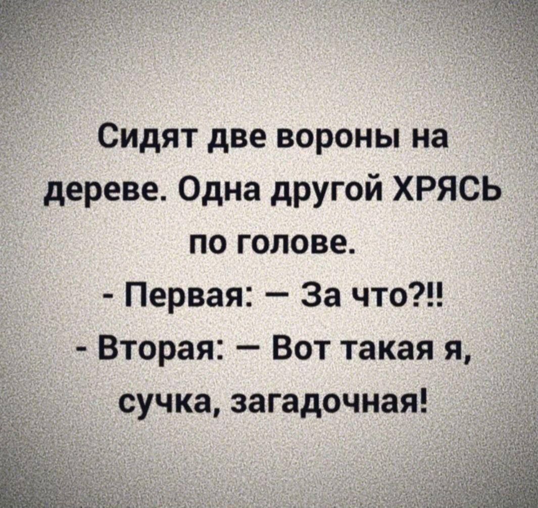 Сидят две вороны на дереве Одна другой ХРЯСЬ по голове Первая За что Вторая Вот такая я сучка загадочная