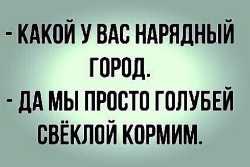 КАКОЙ У ВАС НАРЯДНЫЙ ГОРОД ДА МЫ ПРОСТО ГОЛУБЕЙ СВЁКЛОЙ КОРМИМ