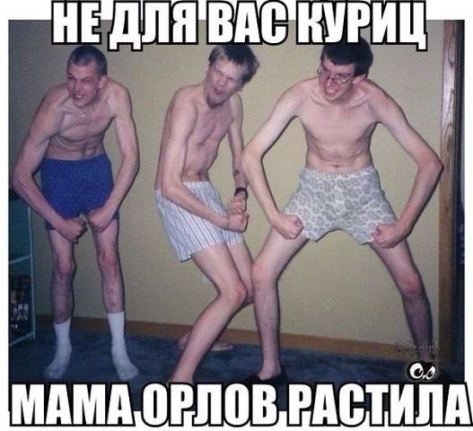 НЕДЛ Ё дПНШТНУРИЦ