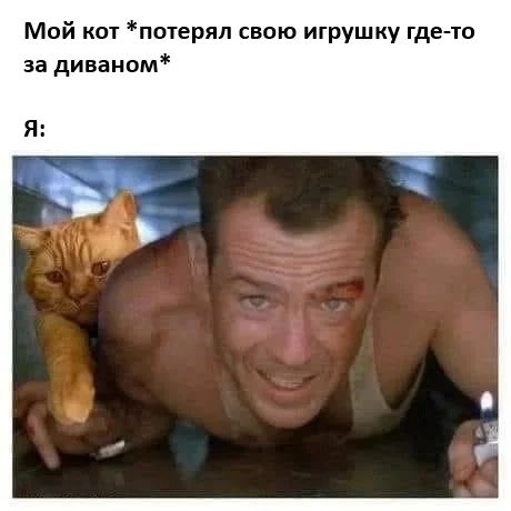 Мой кот потерял свою игрушку где то за диваном