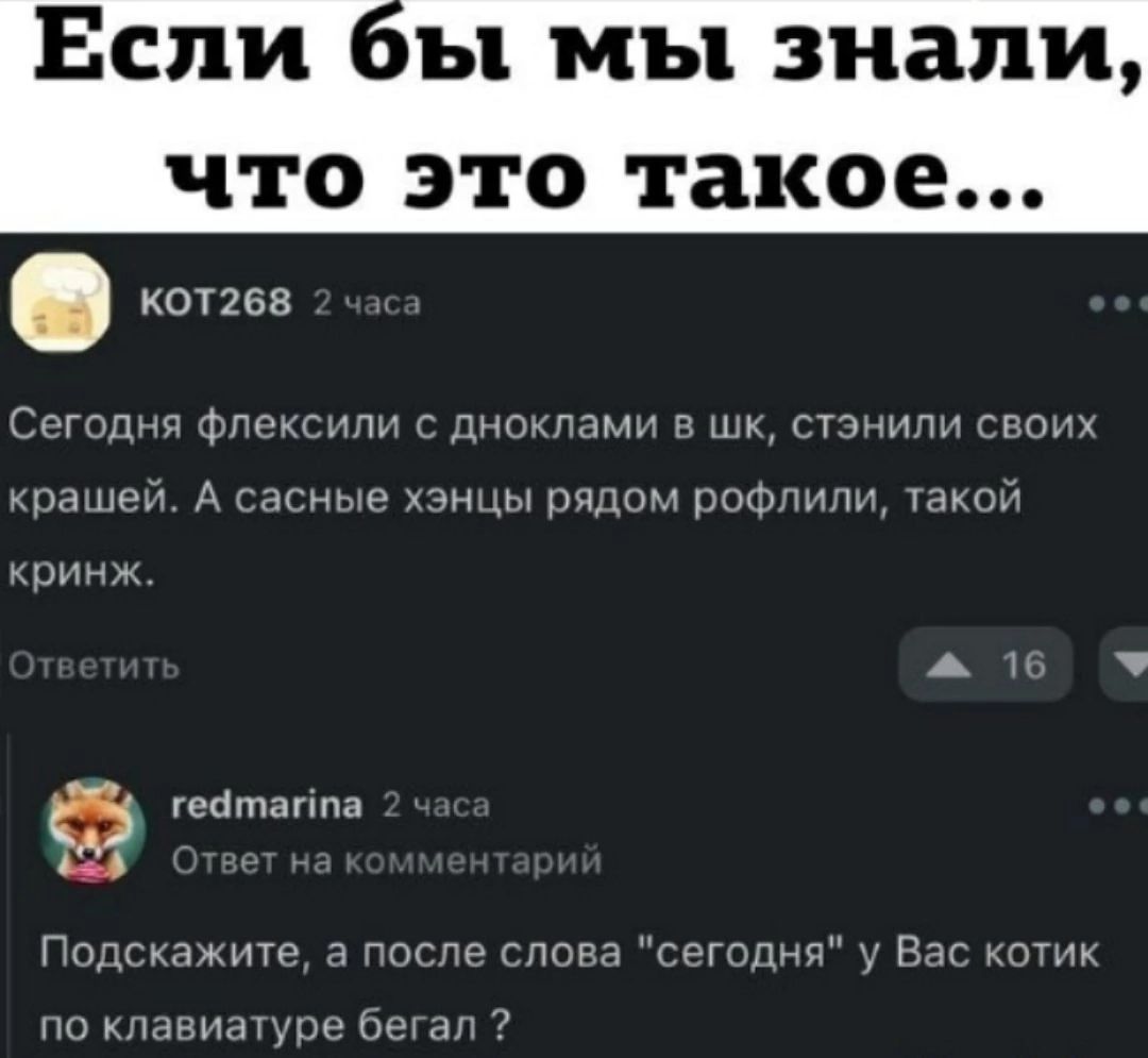 Если бы мы знали что это такое кот268 одня флексил оклами в шк стэнили своих крашей А сасные цы рядом р эфлили такой ринжЖ э гейтаппа Подскажите а после слова сегод по кл 5егал виатур