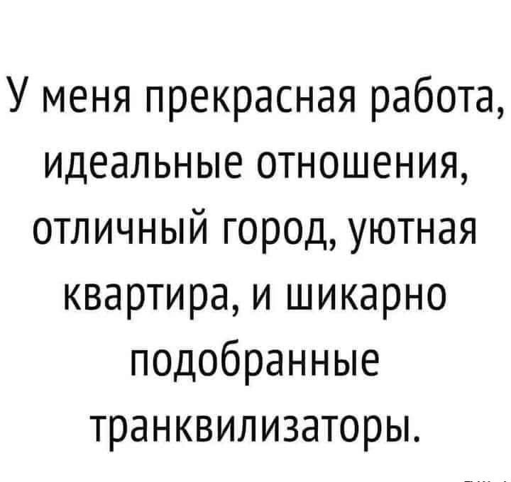 У меня прекрасная работа идеальные отношения отличный город уютная квартира и шикарно подобранные транквилизаторы