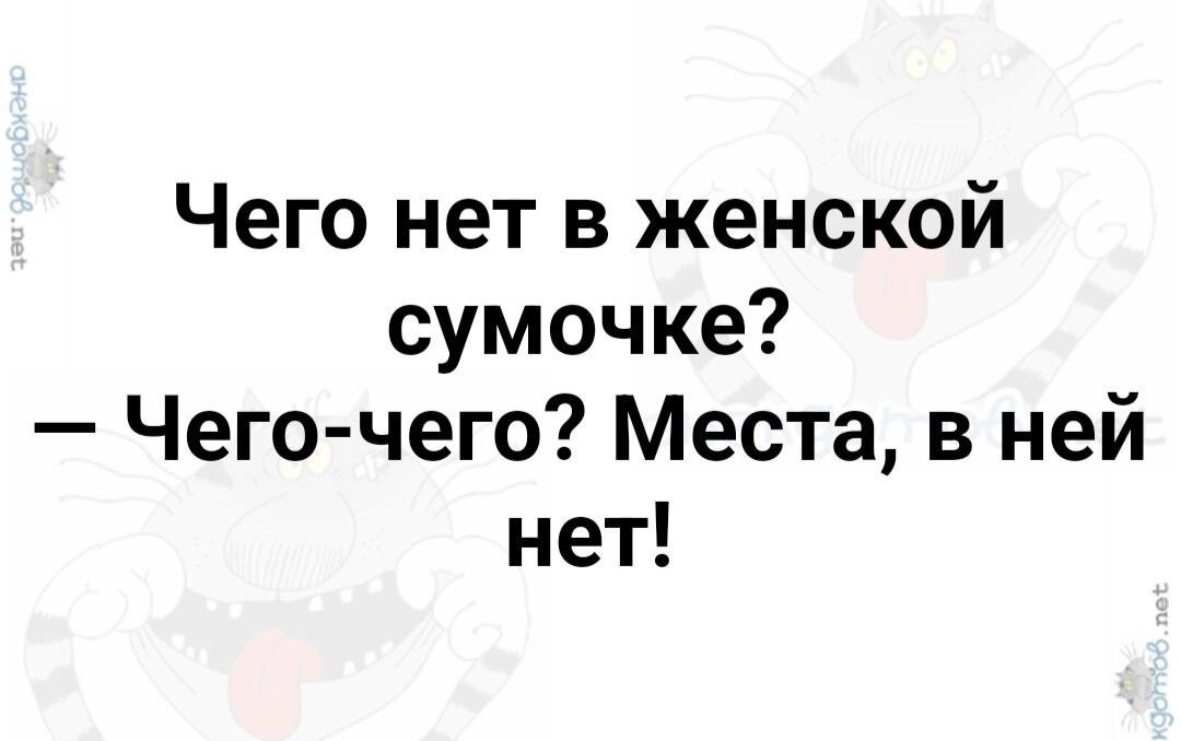 Чего нет в женской сумочке Чего чего Места в ней нет