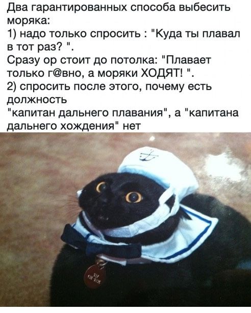 Два гарантированных способа выбесить моряка 1 надо только спросить Куда ты плавал в тот раз Сразу ор стоит до потолка Плавает только гвно а моряки ХОДЯТ 2 спросить после этого почему есть должность капитан дальнего плавания а капитана дальнего хождения нет