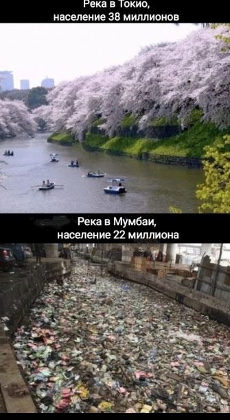 Г 5 ЧЕ о2 с о ВЕ Зо 8 Е Река в Мумбаи население 22 миллиона 71 в слелучя