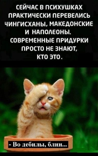 СЕЙЧАС В ПСИХУШКАХ ПРАКТИЧЕСКИ ПЕРЕВЕЛИСЬ ЧИНГИСХАНЫ МАКЕДОНСКИЕ И НАПОЛЕОНЫ СОВРЕМЕННЫЕ ПРИДУРКИ ПРОСТО НЕ ЗНАЮТ кто это Во дебилы блин