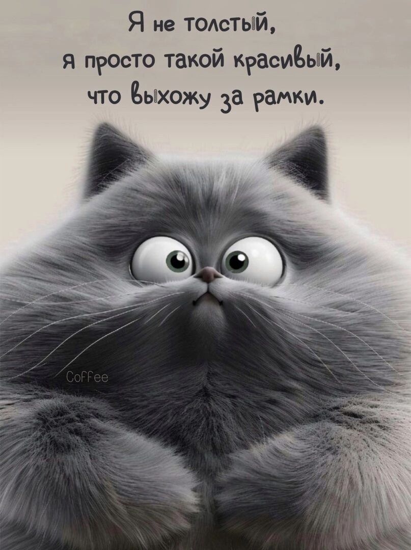 Я не толстый Я просто такой красивый что быхожу за рамки Э