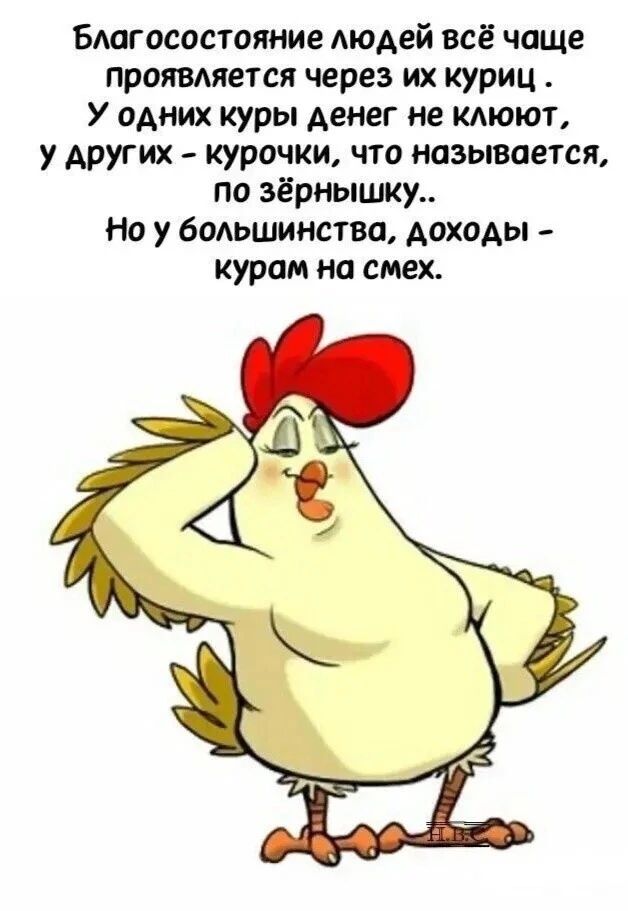 Благосостояние людей всё чаще проявляется через их куриц У одних куры денег не клюют У Аругих курочки что называется по зёрнышку Но у большинства доходы курам на смех