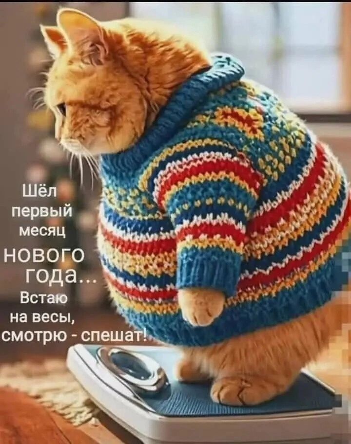 к Шёл первый месяц 1е1е К года Встаю на весы