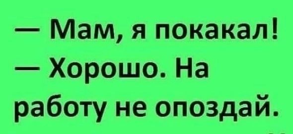 Мам я покакал Хорошо На работу не опоздай