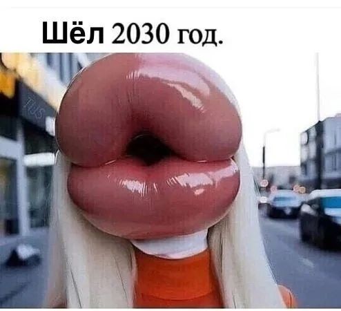 Шел 2030 год